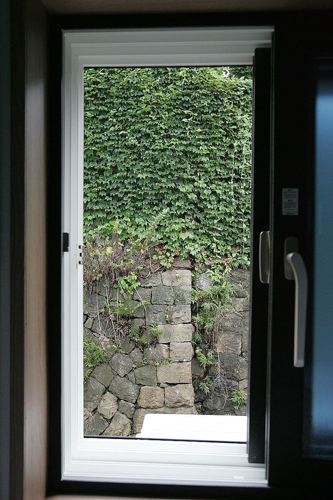 303 photo 2