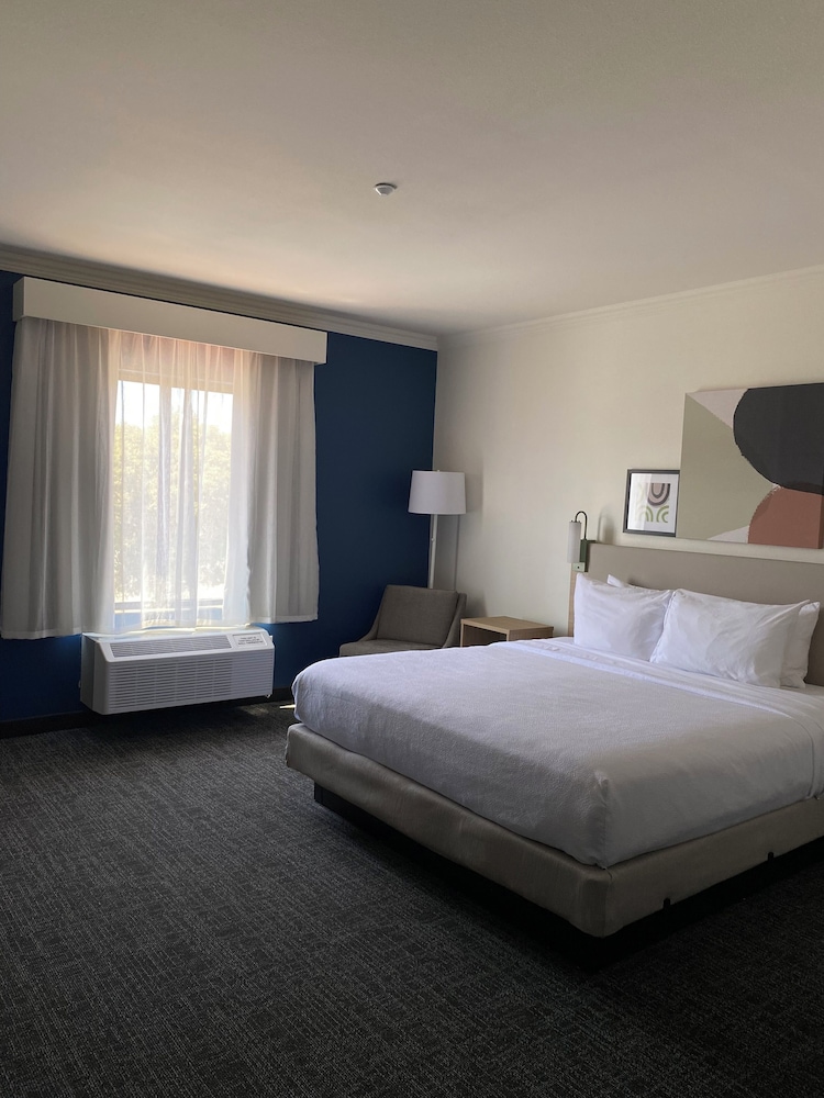 Room, 1 King Bed, Accessible (Mobility & Hearing, Roll-in Shower)