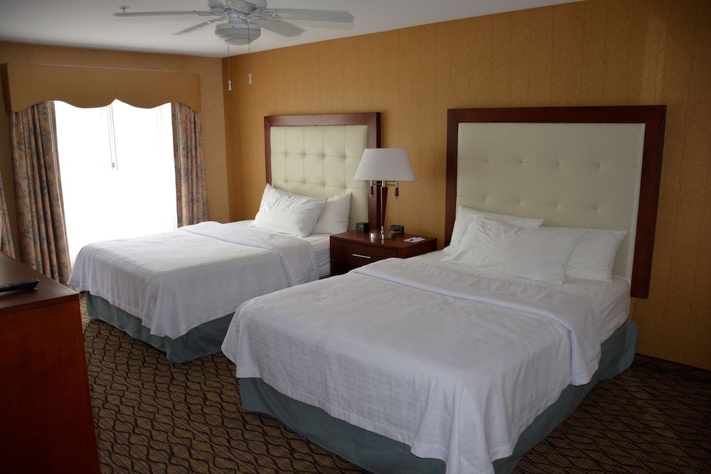 Suite, 1 Bedroom, Accessible (Roll-in Shower) - Photo 2