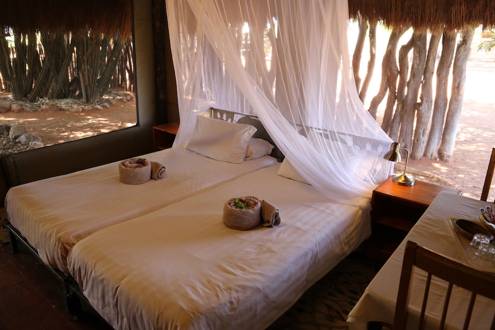Luxury Tent photo 3