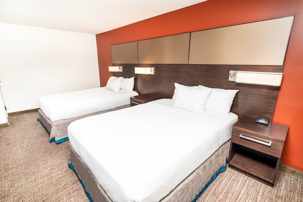 Studio Suite, Multiple Beds