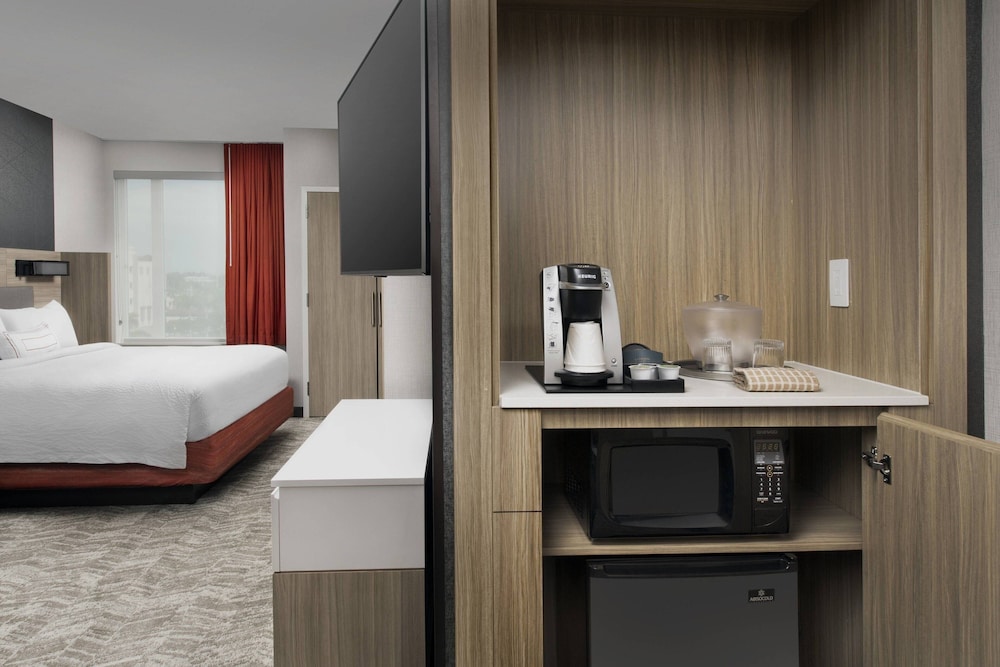 Suite, 1 King Bed - Photo 9