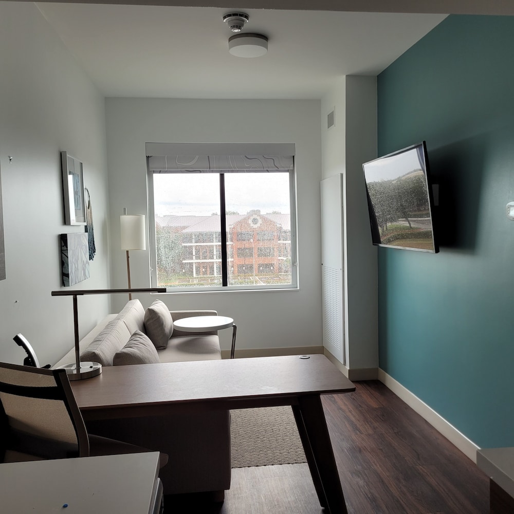 Suite, 1 Bedroom - Photo 5