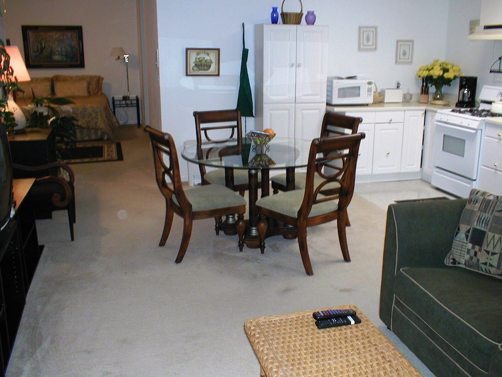 B - Apartment 1 Queen Bed, 2 Twin Beds, 1 Sofa Bed, with walk-in shower, Full Kitchen, Lower Level