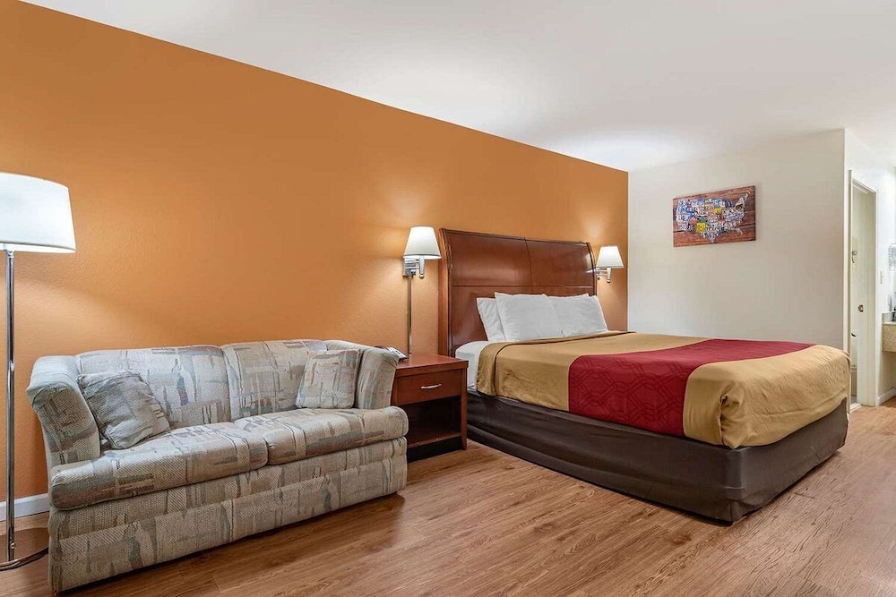 Single Room photo 1