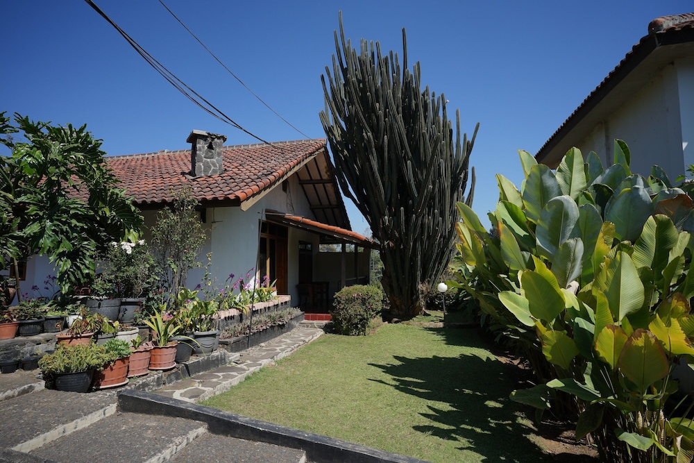Bungalow - Photo 23