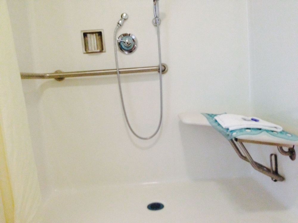 Room, 1 Queen Bed, Accessible photo 2