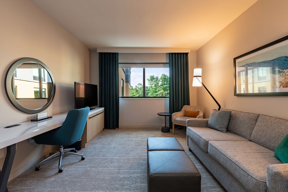 Suite, 1 King Bed, Accessible, Bathtub (Hearing) - Photo 1