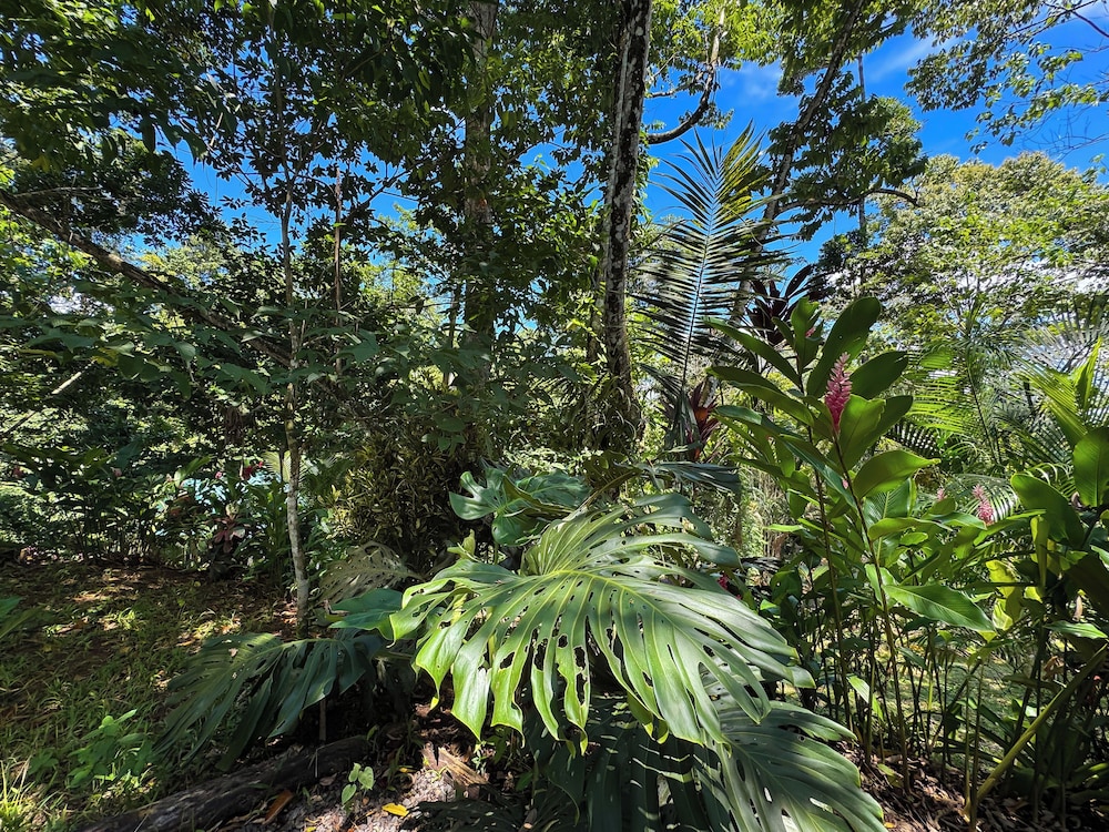 Family Villa, Garden View photo 2