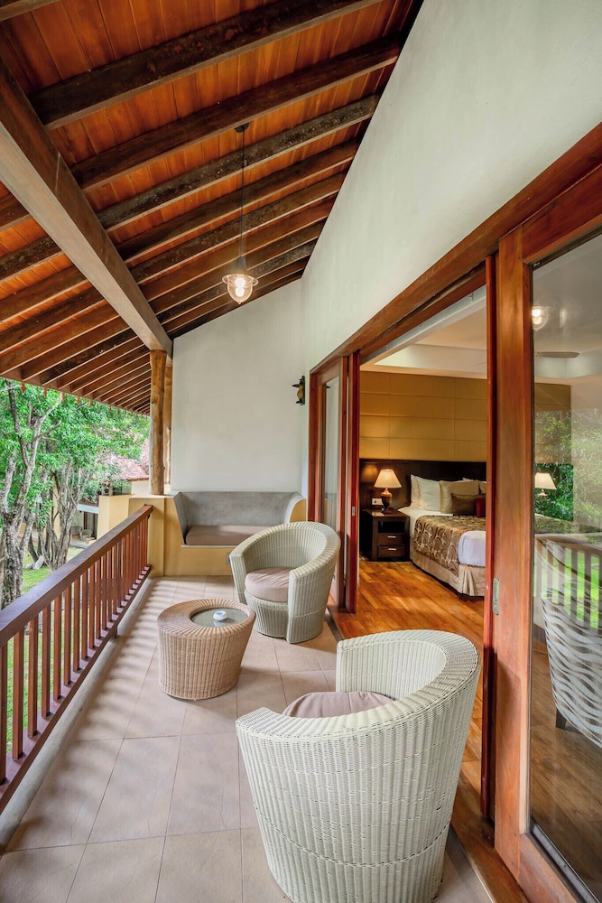 Signature Premium Suite photo 2