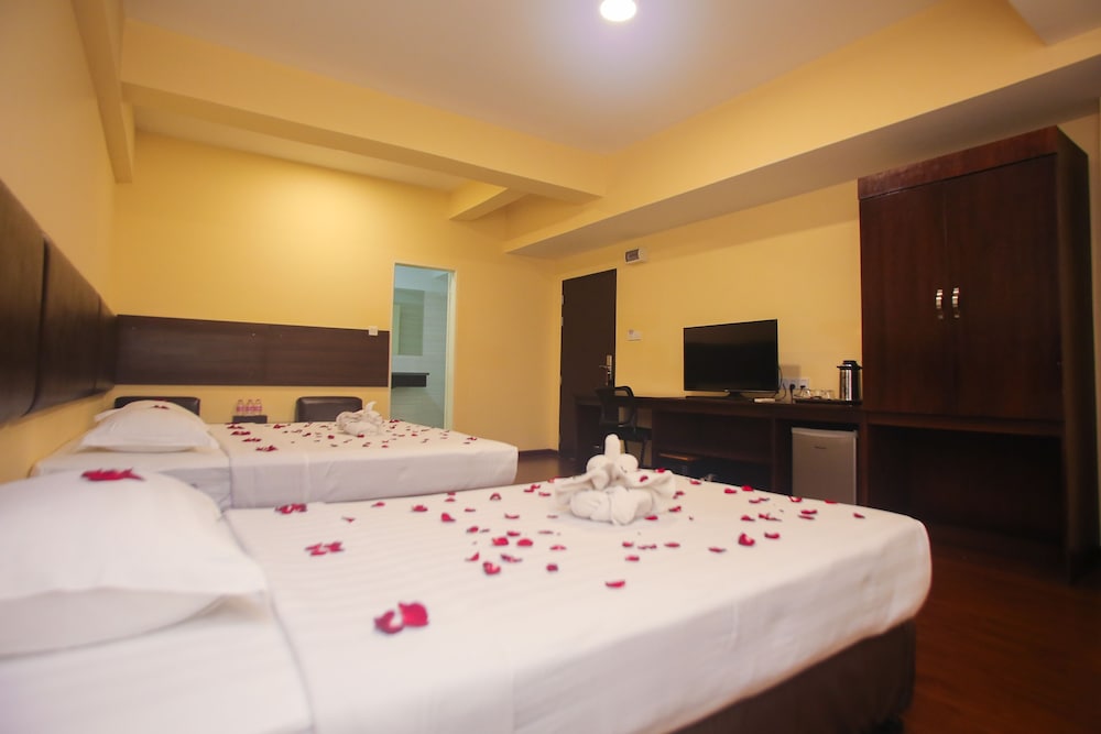 Triple Room photo 3