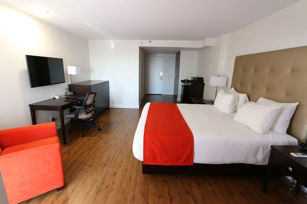 Room, 1 King Bed with Sofa bed