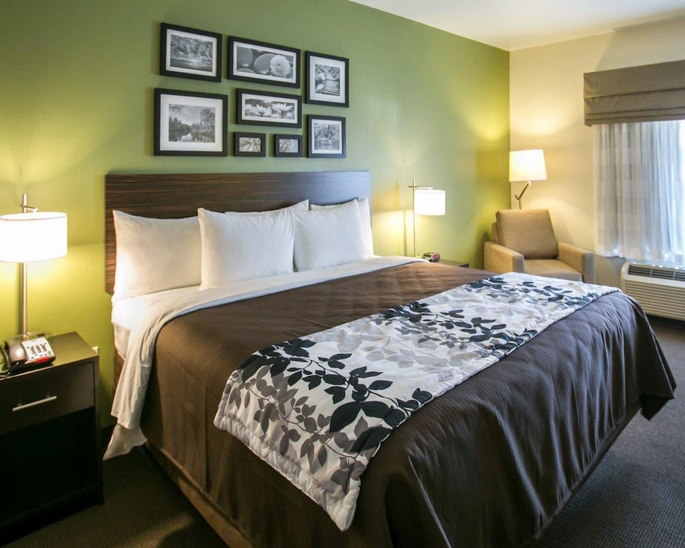 Standard Room, 1 King Bed, Non Smoking - Photo 3