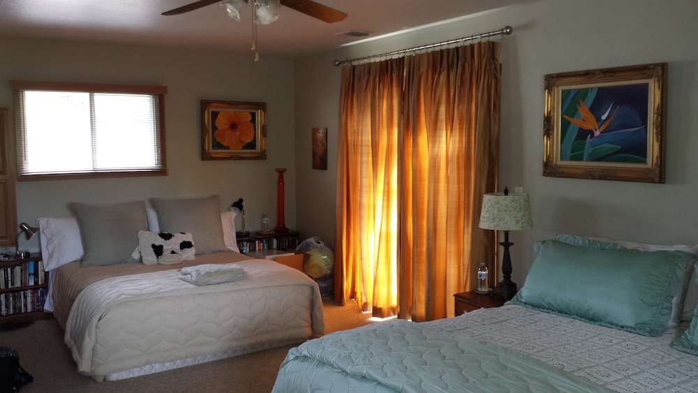 Deluxe King Suite photo 2