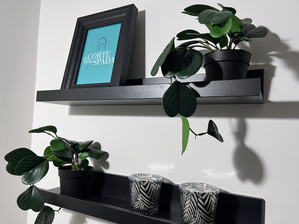 Junior Apartment photo 2