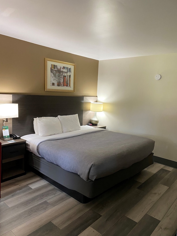 1 Queen bed, smoking - Photo 3