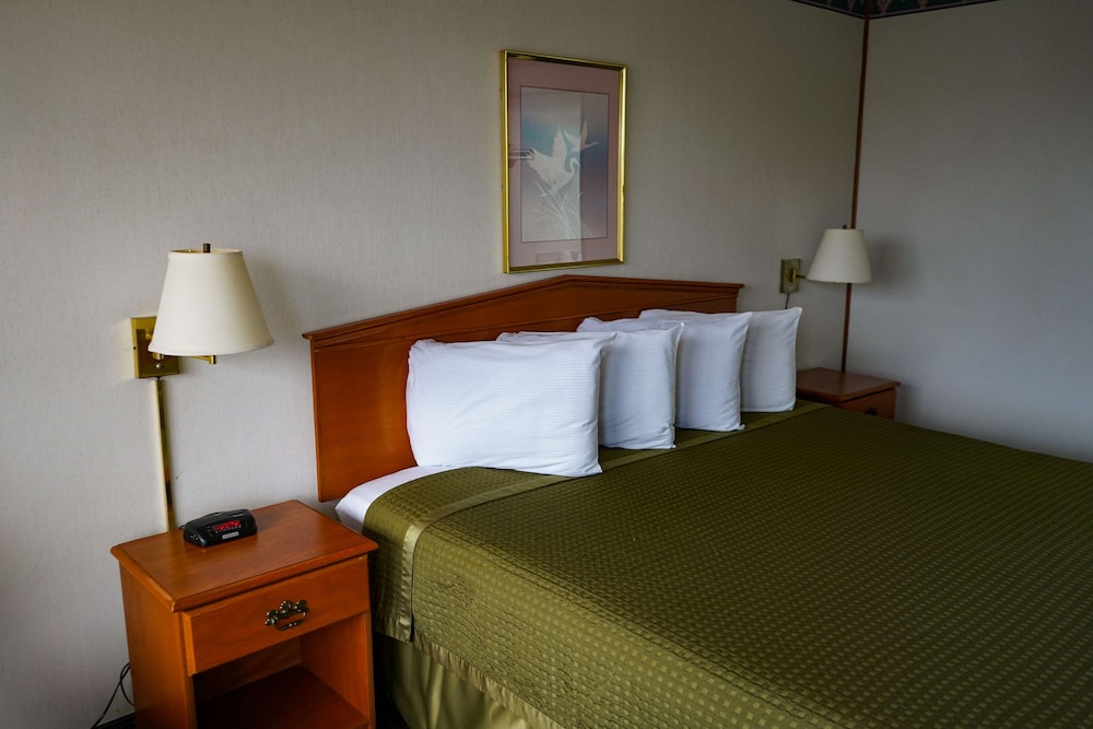 1 King Bed Smoking photo 1