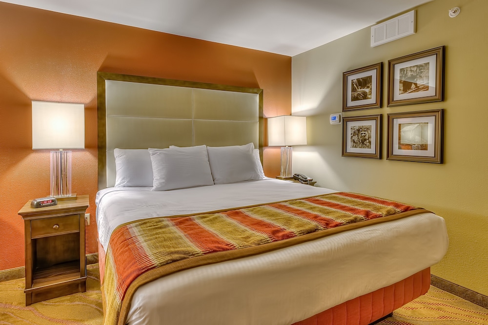 Executive Room, 1 King Bed, Non Smoking - Photo 5