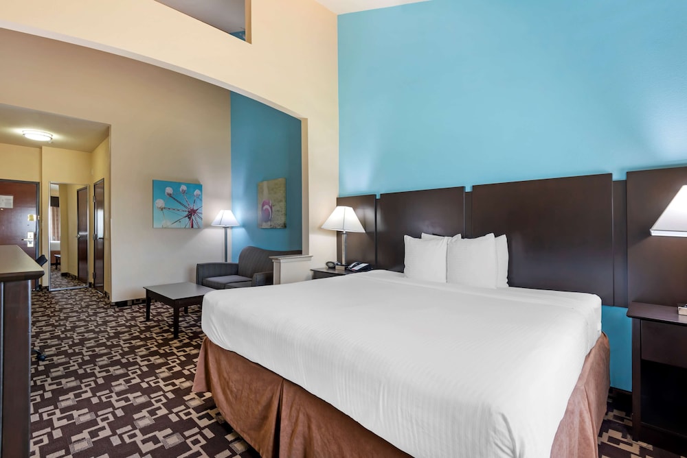 Standard Room, 1 King Bed, Accessible, Refrigerator & Microwave - Photo 3