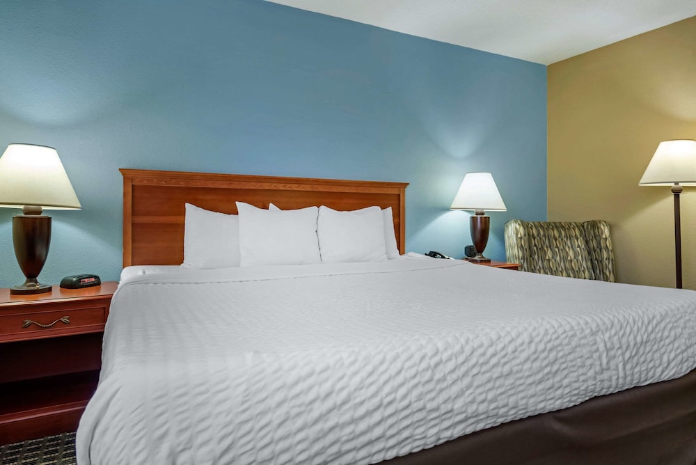 Standard Room, 1 King Bed, Non Smoking (Pet Friendly) - Photo 7