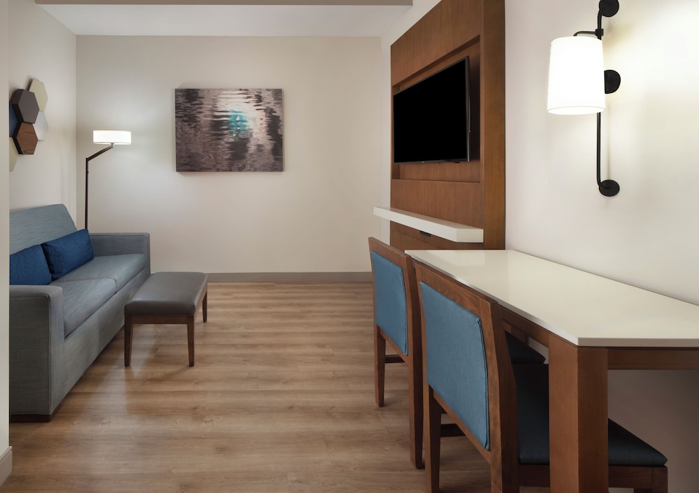 Premium Suite, 1 King Bed, Accessible (Roll-In Shower) photo 2