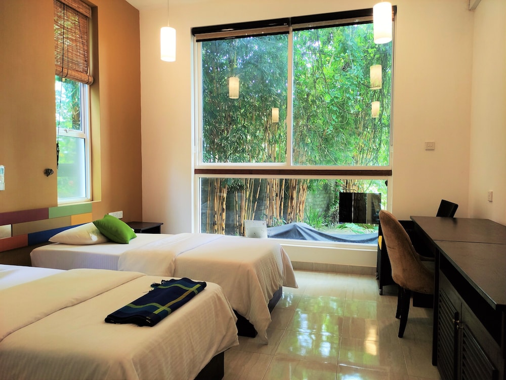 Double or Twin Room photo 2