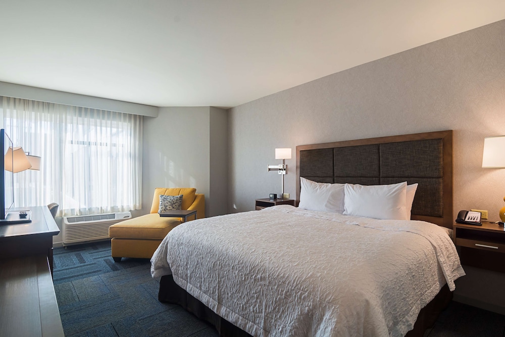 Room, 1 King Bed, Non Smoking, Refrigerator