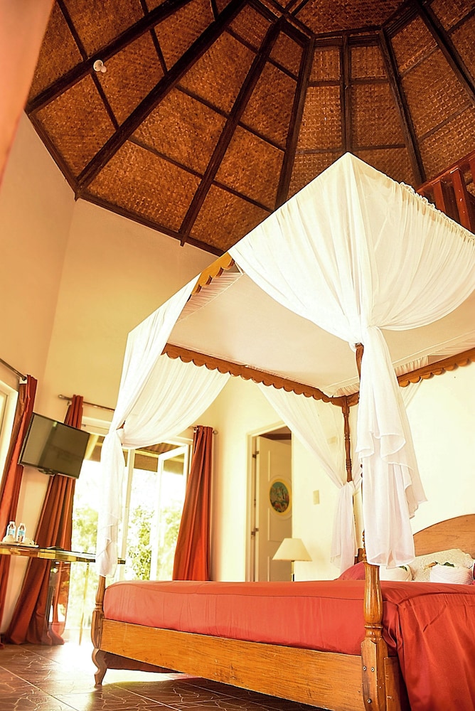 Premium Villa photo 2