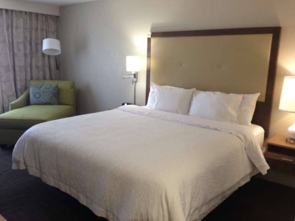 Room, 1 King Bed, Accessible, Bathtub (Mobility & Hearing) - Photo 5