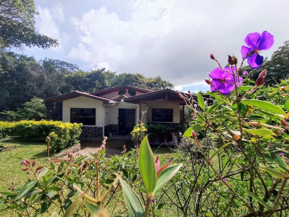 Family Cottage, Garden View photo 1