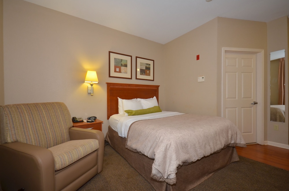 Studio Suite, 1 Queen Bed - Photo 7