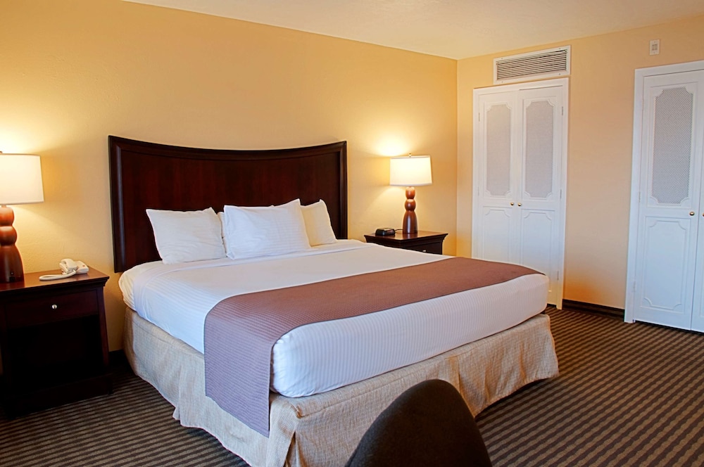 Standard Room, 1 King Bed, Non Smoking (No View) - Photo 3