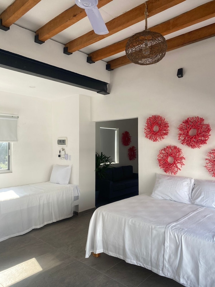 Premium Studio Suite