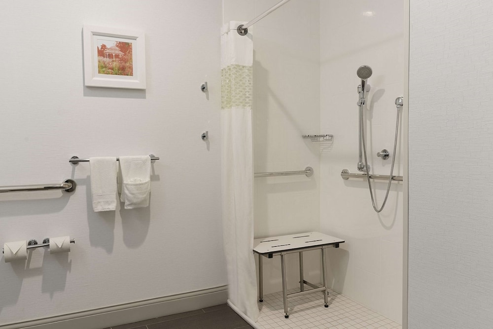 Room, 1 King Bed, Accessible (Roll-in Shower)