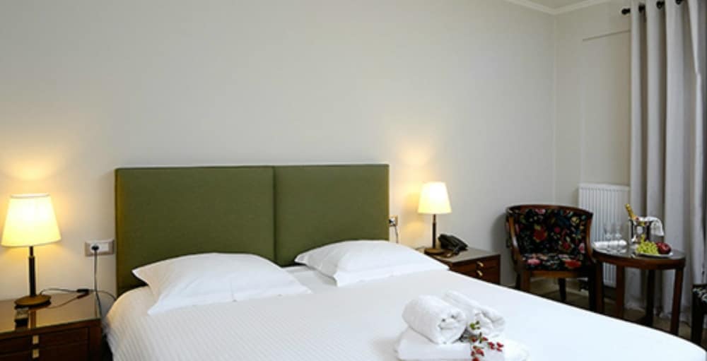 Deluxe Double Room photo 3