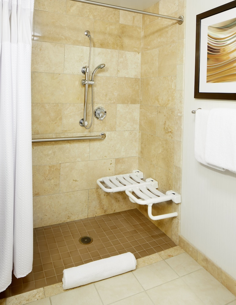 Room, 1 King Bed with Sofa bed (Mobility/Hearing Access, Roll-In Shwr) - Photo 4
