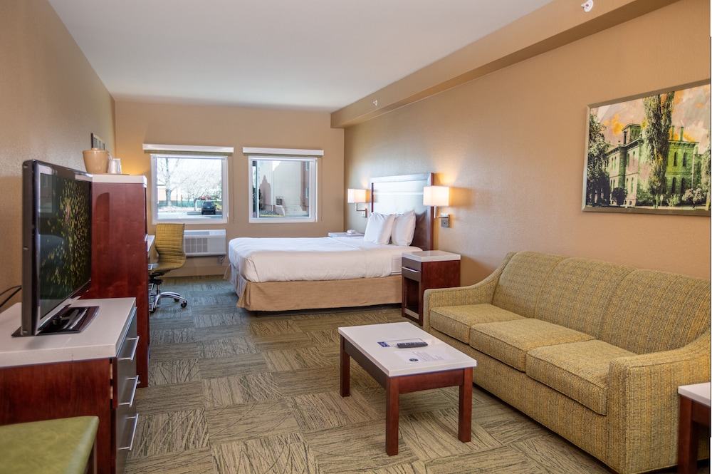 Junior King Suite - Photo 1