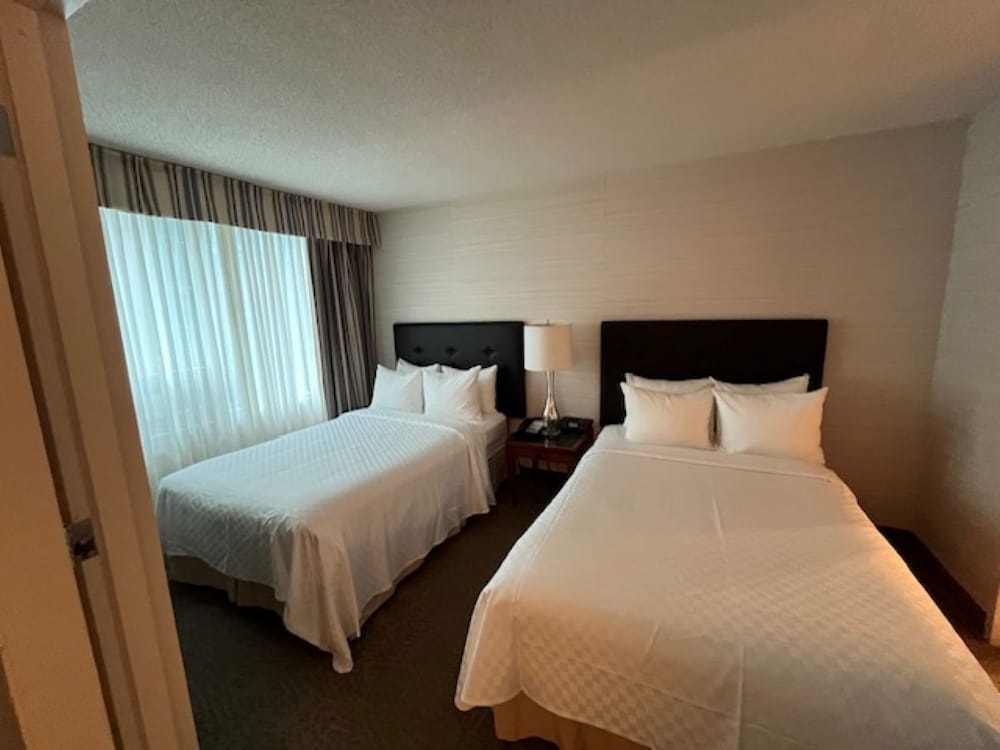 Deluxe Suite, Multiple Beds - Photo 3