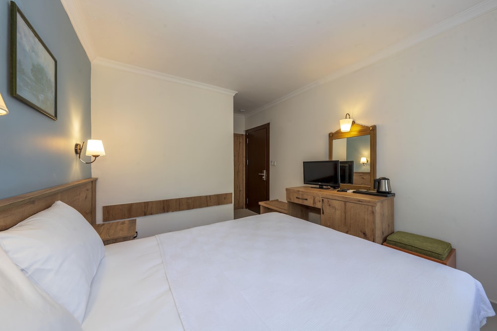 Standard Room photo 2