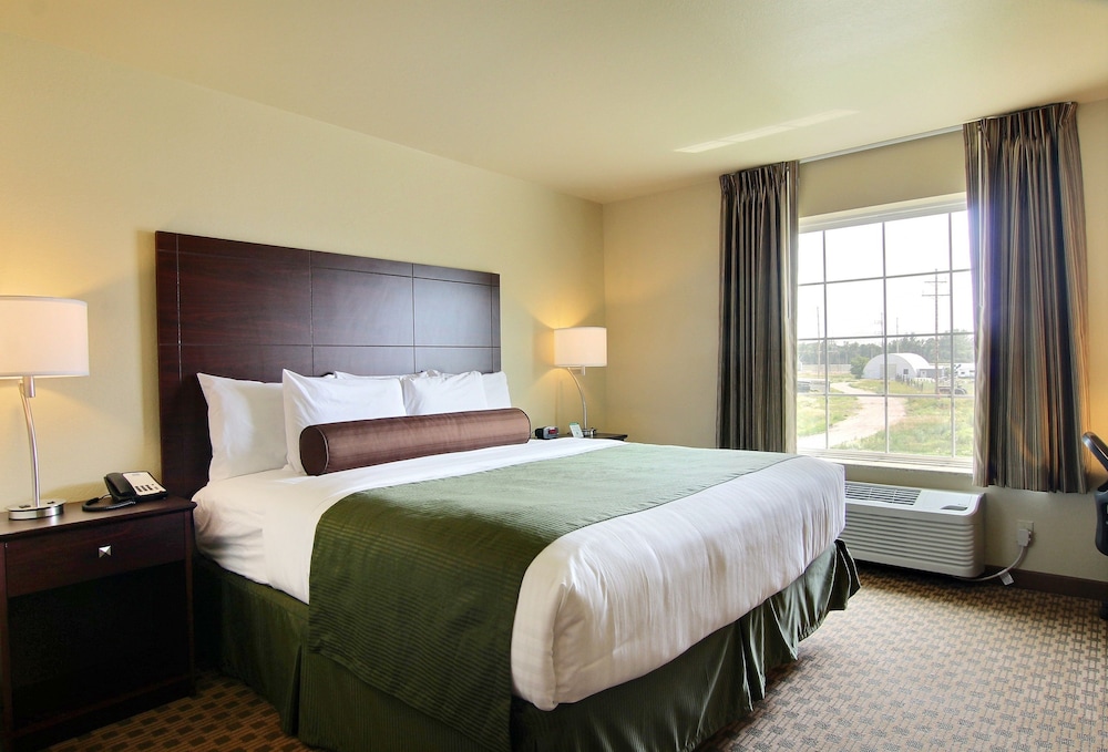 Room, 1 King Bed, Non Smoking photo 1