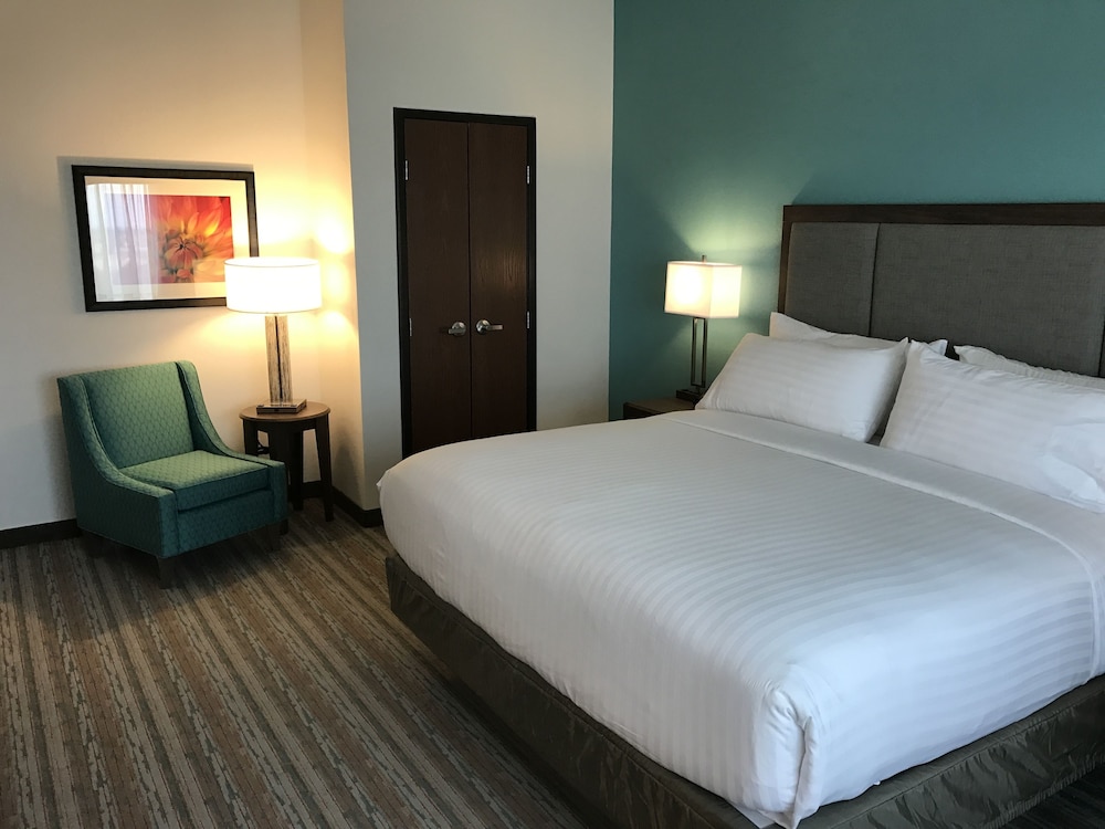 Suite, 1 King Bed photo 2