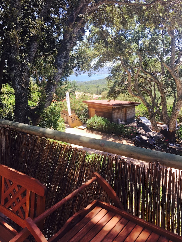 Premium Junior Villa photo 3