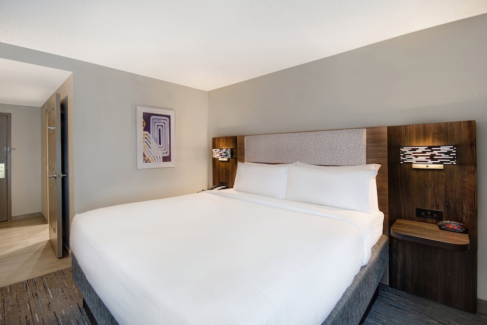 Standard Room, 1 King Bed, Accessible (Communication, Accessible Tub) - Photo 4