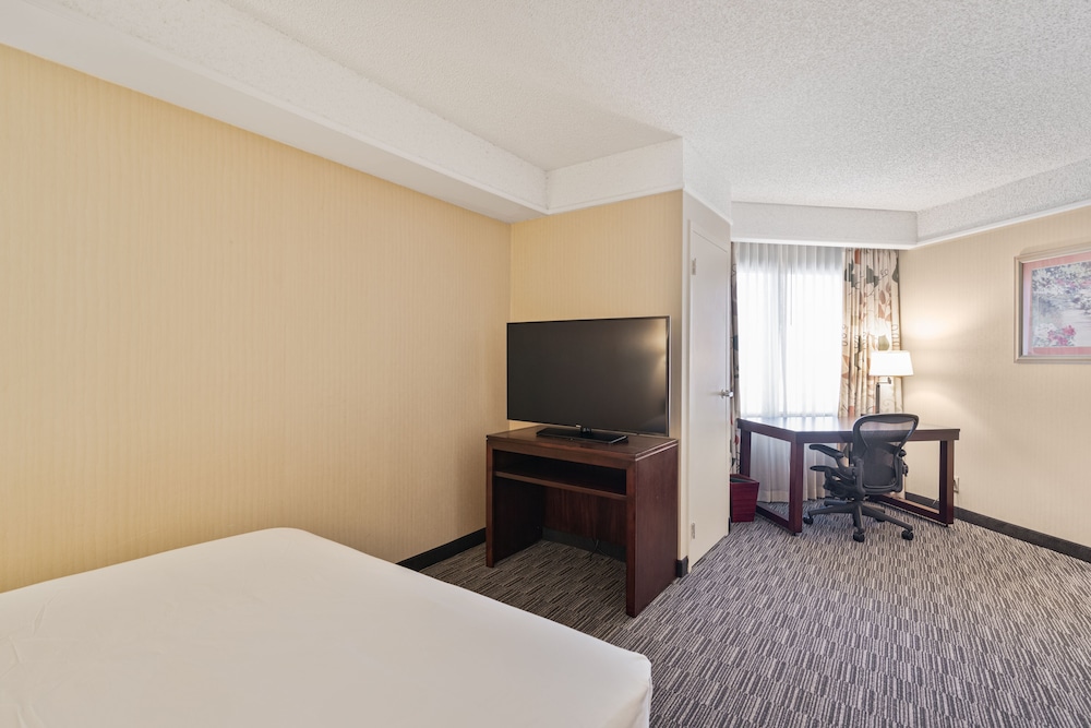Suite, 1 King Bed with Sofa bed (ADA) photo 2