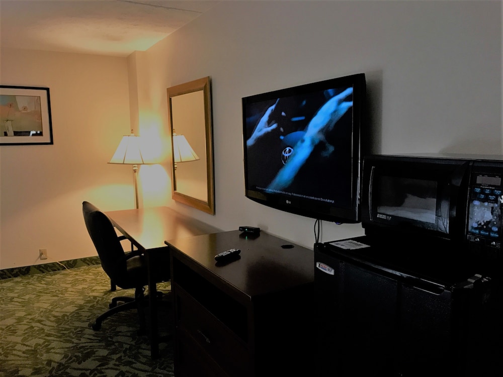Room, 1 King Bed, Accessible, Non Smoking photo 3