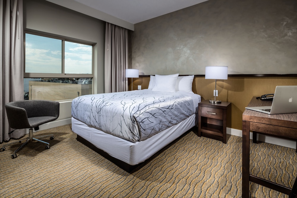 Penthouse, 1 Queen Bed, Accessible