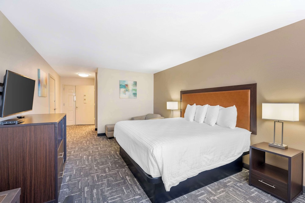 Standard Room, 1 King Bed, Accessible, Refrigerator & Microwave photo 2