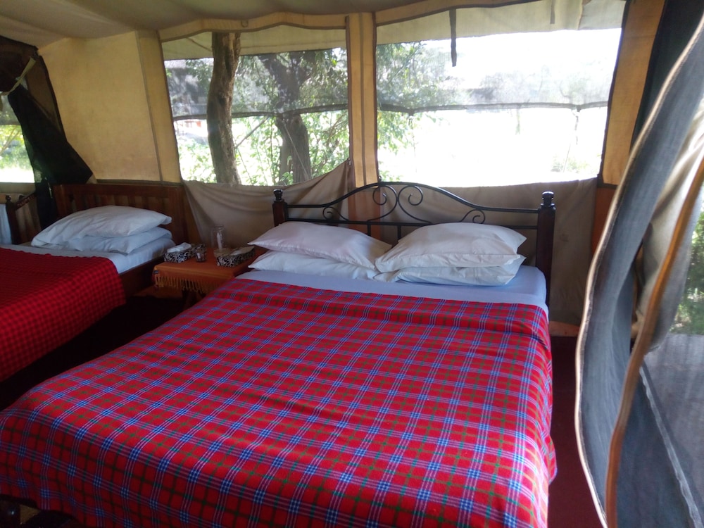 Tent (Camp) photo 3