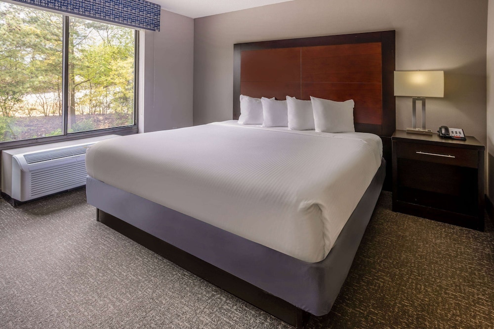 Suite, 1 King Bed, Accessible, Non Smoking - Photo 1