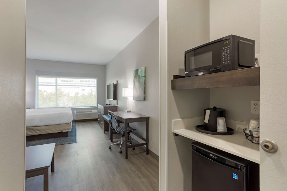 Standard Room, 1 King Bed, Non Smoking, Refrigerator & Microwave (with Sofabed) - Photo 4
